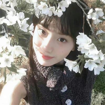 寻找苏珊